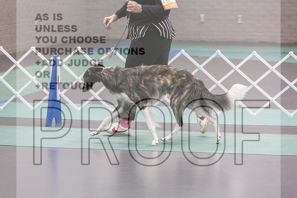 Silken Windhound Ring Sat_JJL_8364_UKCLNGVIEWOCT2024_2024_HR3