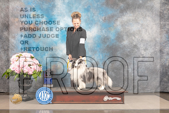 Sheltie #27 SAT BOW Major Judge Janet Fink_MJ_6719_Houston_2022_HR3