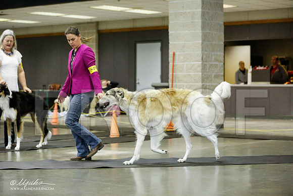 _RH_1330-BeltonJan2015IABCA-HR3