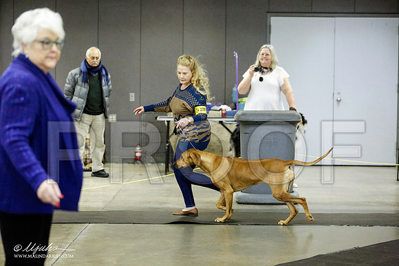_RH_1440-BeltonJan2015IABCA-HR3