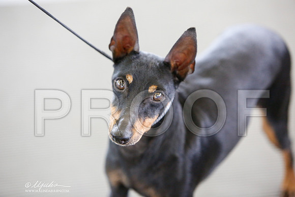 _JJ_3233-DallasJul2014-HR3