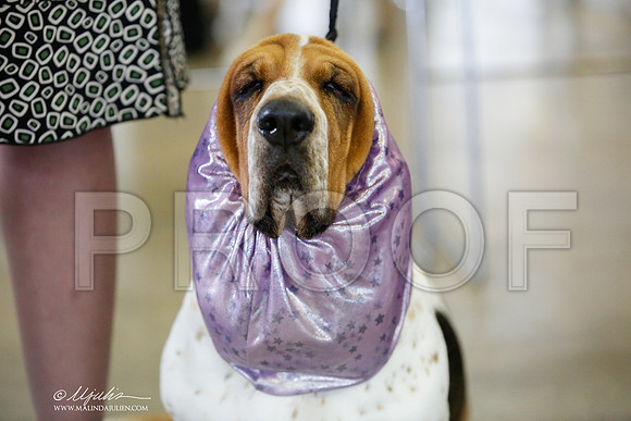 _JJ_3435-DallasJul2014-HR3