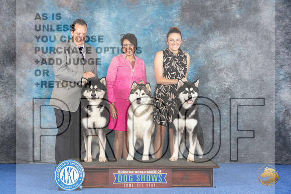 CUSTOM Alaskan Malamute WED Judge Jon Cole__JP_7363_Houston_2024_HR3