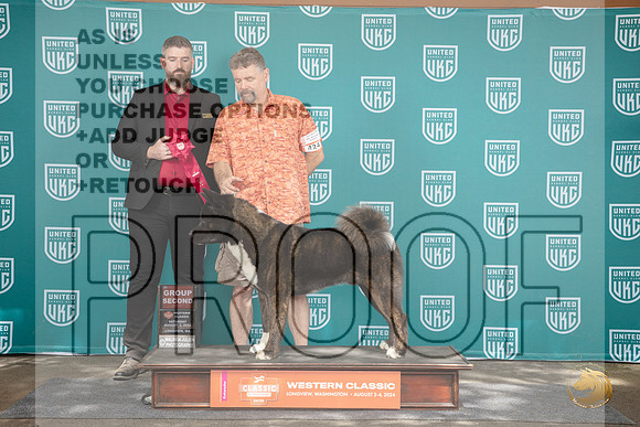 Akita #424 Sat G2 Judge Kevin Carroll__JP_1394_Longview WA_2024_HR3