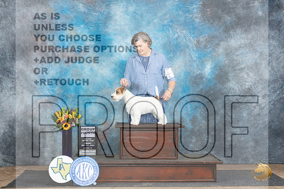 Russell Terrier #5 Fri G4 Judge Janet Parcel__JP_9527_Abilene_2024_HR3