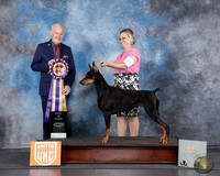 Felicity Trammell UKC Longview TX Aug 2025