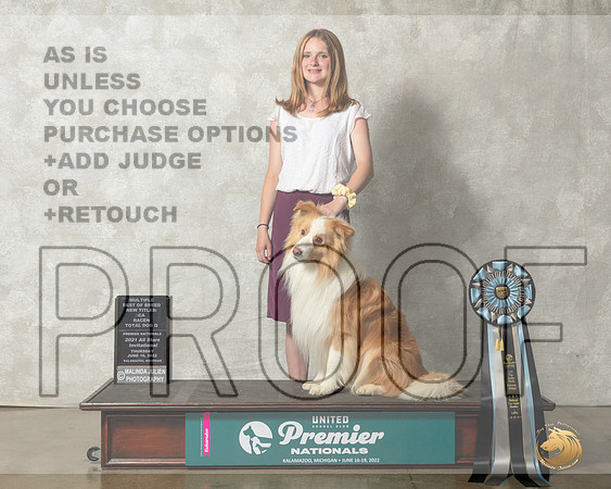 Border Collie #932 Thurs AllStar__MJ_9315_Premier_2022_HR3