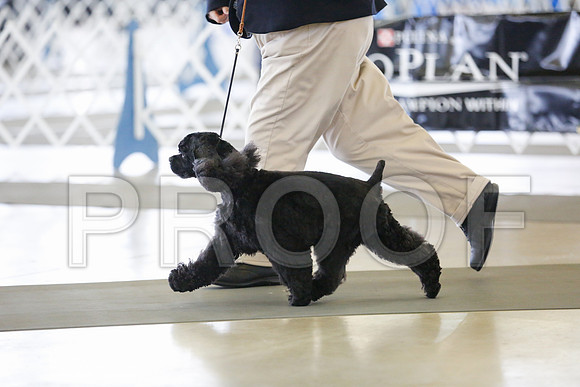_RH_9831-DallasJul2014-HR3