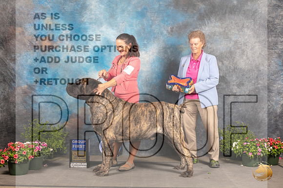 Mastiff #9 Sat G1 Judge Robert Shreve_MJ_0613_SA_2022_HR3