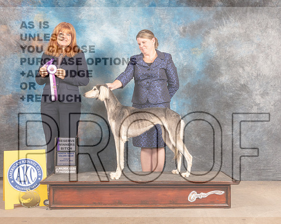 Saluki #30 Fri RWB Judge Katrina Hamilton-MMJ_7375-FW2022-HR3