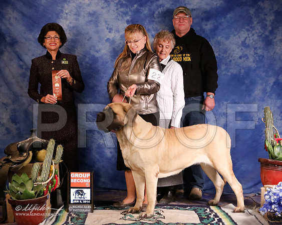 Mastiff-5511-GRJan14-HR