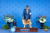 Shiba Inu #10 THUR BOP Judge Sandra Lex
