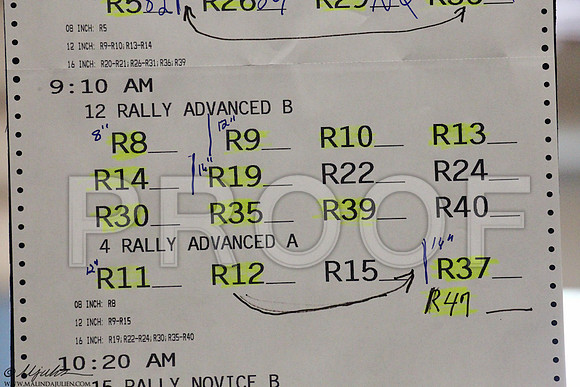 RallyAdvBFri-5368LR