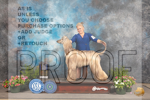 Afghan Hound #20 Sat BOBBOW Judge Michael Canalizo_MJ_1260_SA_2022_HR3