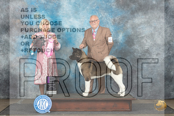 Akita #6 OHG1 Sun Judge Debra Thornton__JP_4077_Lubbock_2024_HR3