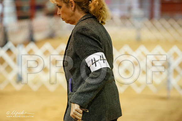 _JN_3229-2-GlenRoseJan2015-HR3