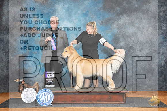 Golden Retriever #9 Fri WD Judge Robert Stein__JP_6941_MARSHALL_2024_HR3