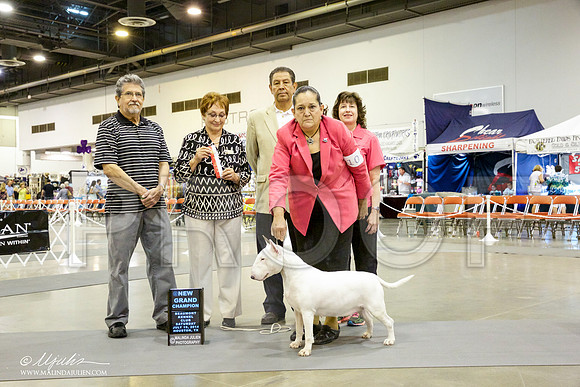 _CL_9511-HstnJul14-HR3