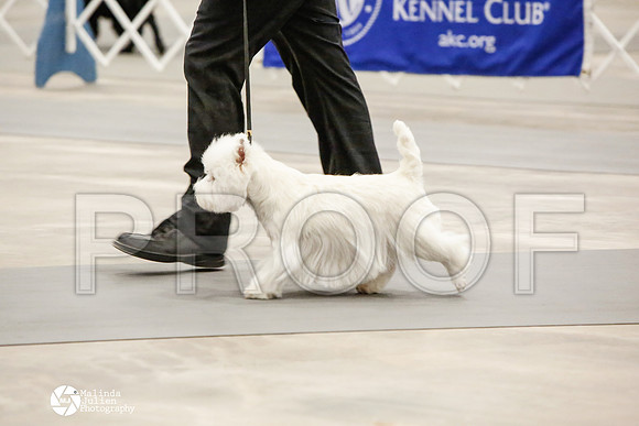 _CK_7864-AblnMay2014-web