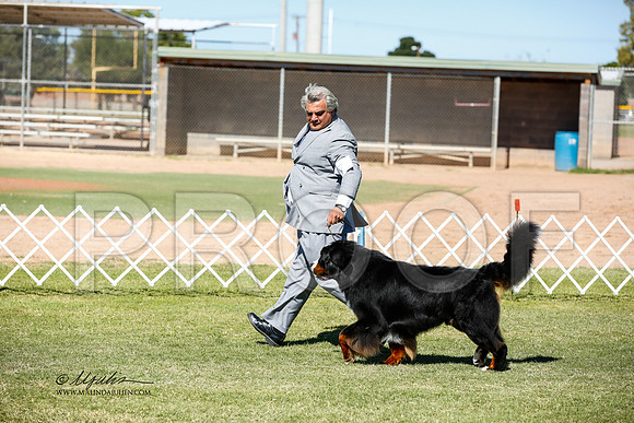 _JN_0672-AlamogordoOct2014-HR3
