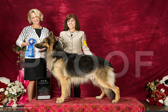 _ST_2700-BeltonJan2015IABCA-HR3