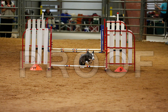 _RH_7313