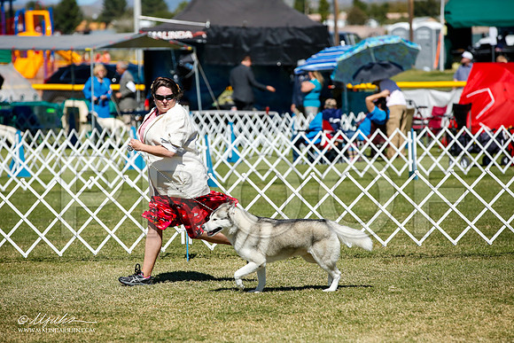 _JJ_0919-AlamogordoOct2014-HR3