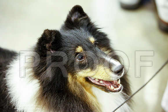 _JJ_5586-HstnJul2014-HR3