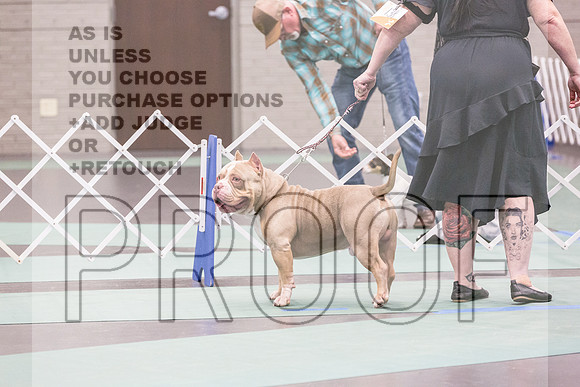 Bully Rings Fri Ring 1_JJL_6877_UKCLNGVIEWOCT2024_2024_HR3