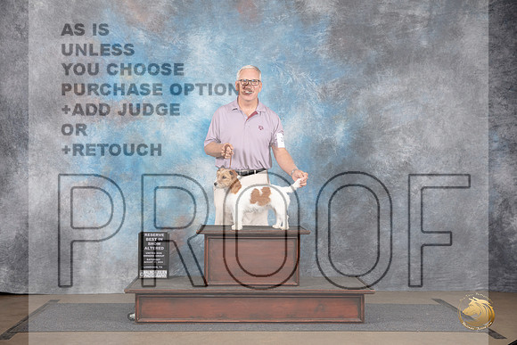 Jack Russell Terrier #203 Sat AltBIS Judge Jennifer Landers__JP_2768_LongviewTX_2024_HR3