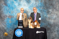 Shih Tzu #9 Sat G4 Judge Brad Jenkins