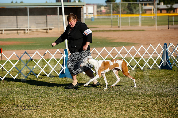 _JJ_2038-AlamogordoOct2014-HR3