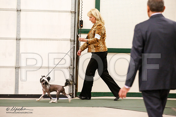 _JN_9429-NrmnNov2014-HR3