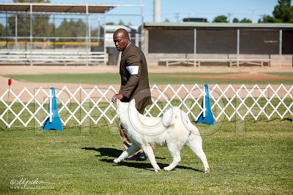 _JJ_4485-AlamogordoOct2014-HR3