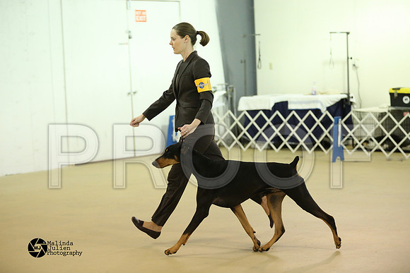 Dobe-0287-HtoJan14-HR
