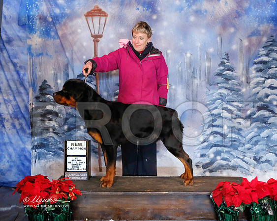 rott-6502-MrshlDec13-HR