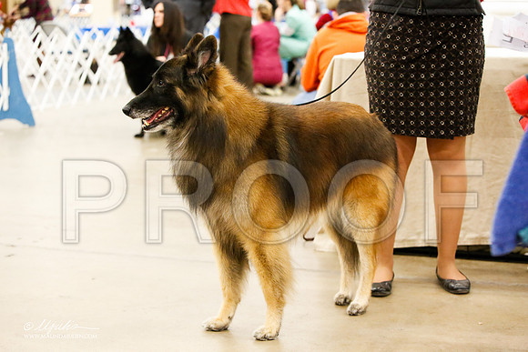 _JJ_1597-FWKCMar2015-HR3