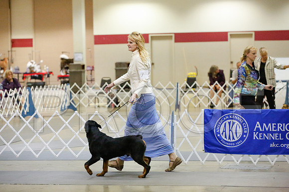_JJ_1638-AmarilloSept2014-HR3