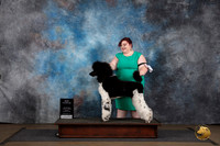 Poodle Standard MC #228 Sun BOW NCh Judge Brenda Landers