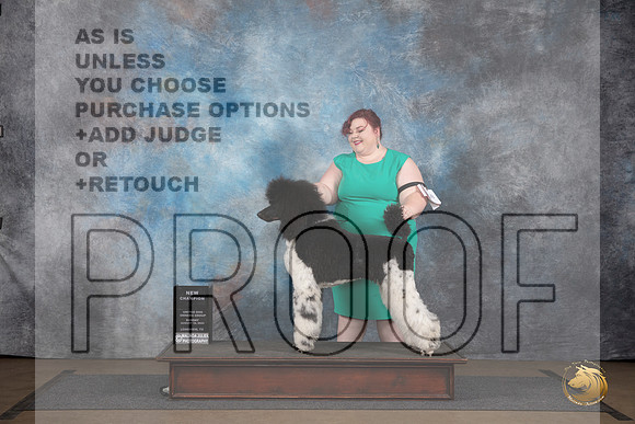 Poodle Standard MC #228 Sun BOW NCh Judge Brenda Landers__JP_3091_LongviewTX_2024_HR3