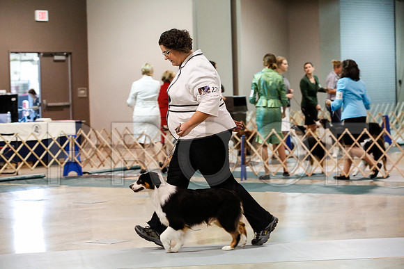 _JJ_0011-ASCACollegeStationNov2014-HR3