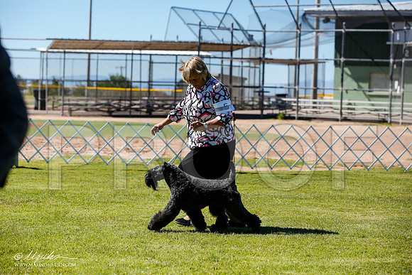 _JN_4863-AlamogordoOct2014-HR3