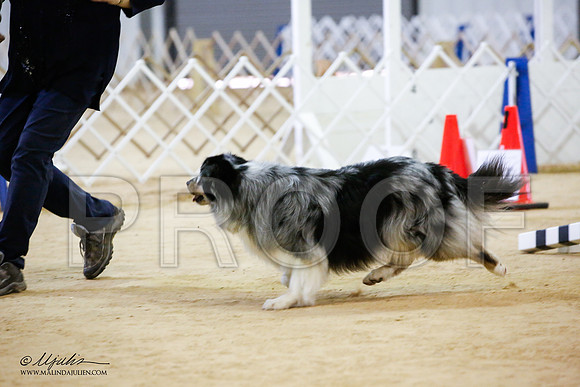 _JJ_6629-ASCACollegeStationNov2014-HR3