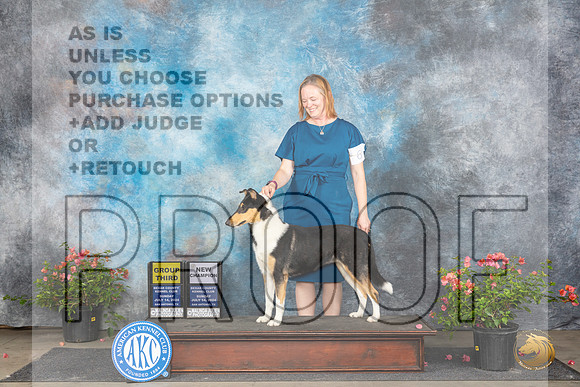 Collie Smooth #6 Sun G3CH Judge Wendy G Willhauck__JP_6288_San Antonio_2024_HR3