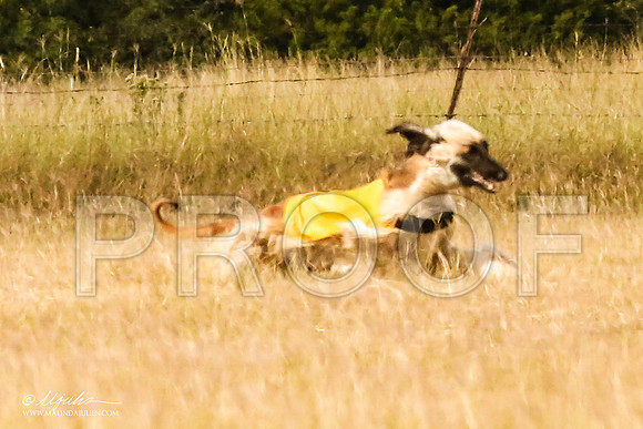 _MJ_5485-AfgBeltonOct2014-HR3