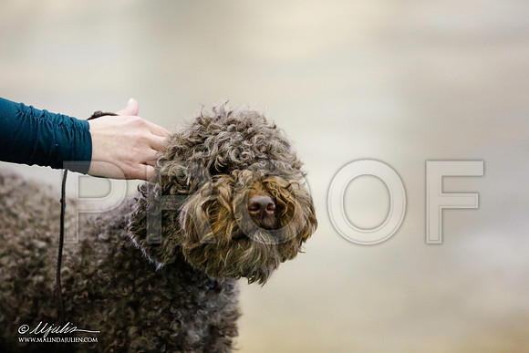 _RH_9249-BeltonJan2015-HR3