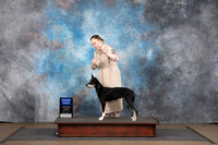 Carolina Dog #351 Sun BOBG! Judge Jennifer Landers