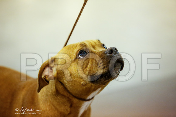 _JJ_8665-DalJul2014-HR3