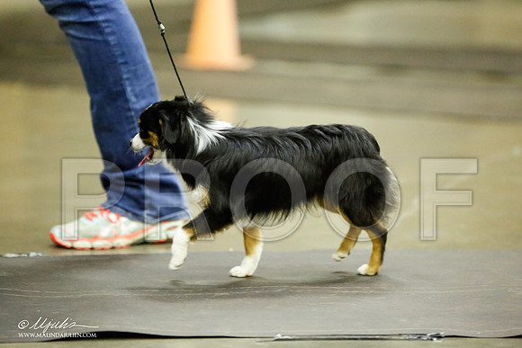 _JJ_6751-BeltonJan2015IABCA-HR3