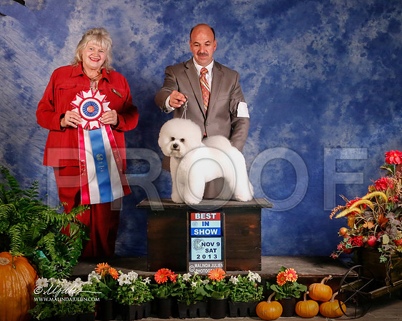 Bichon-4819-HstnNov13-HR